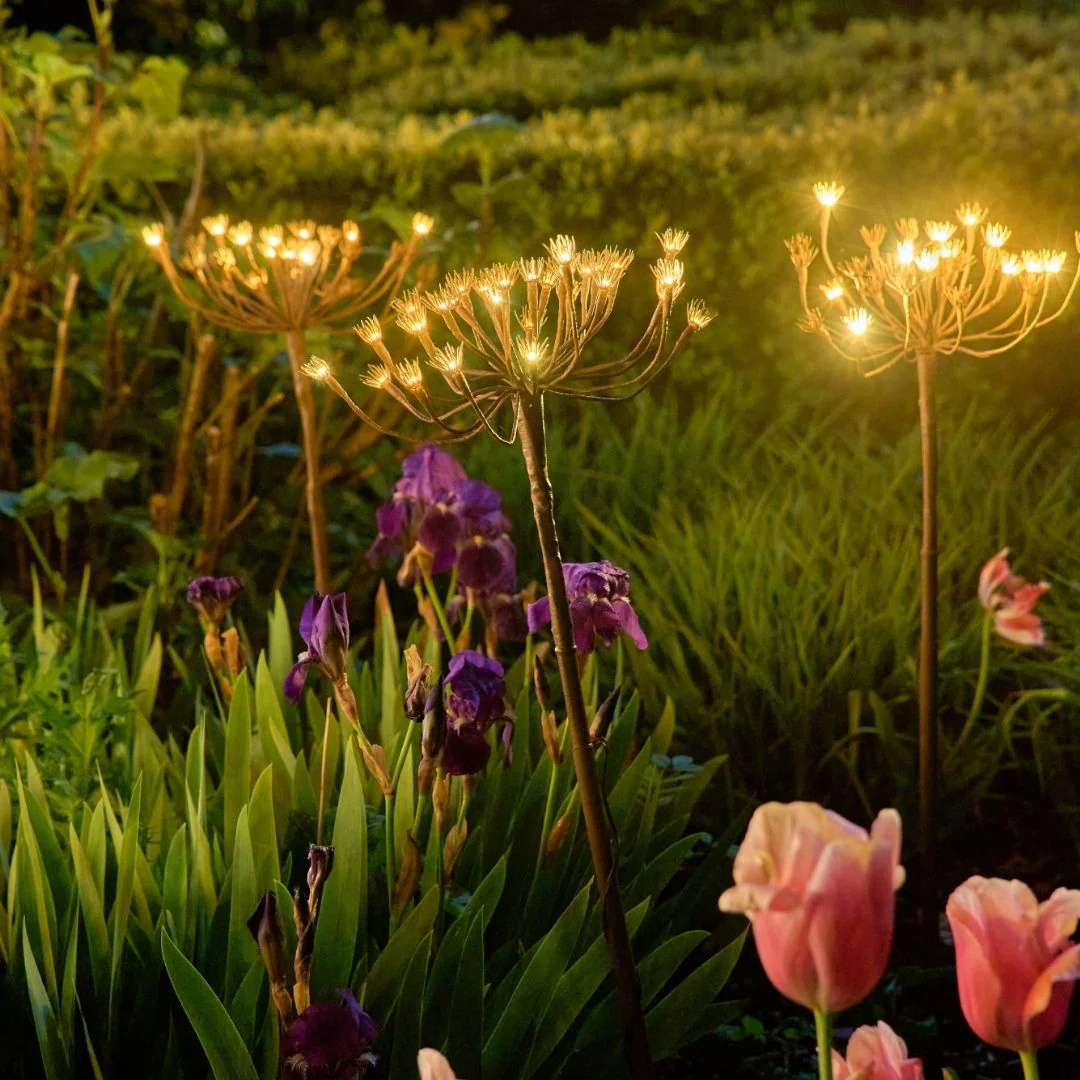 Illuminate Your Home and Garden